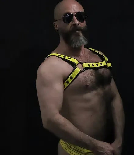 Two- Tone Crossbow Chest Harness